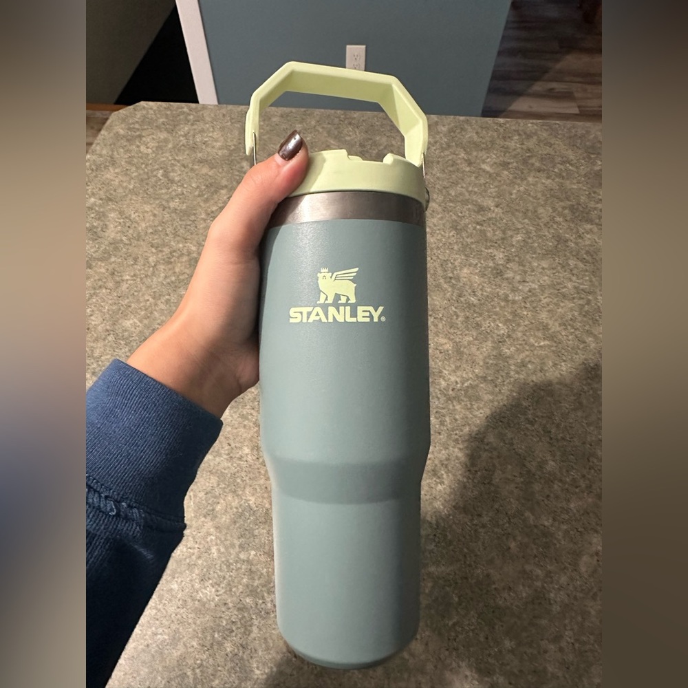 Stanley Sage Tumbler